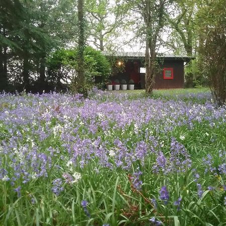 Caban Cwtch Cenarth Exterior foto